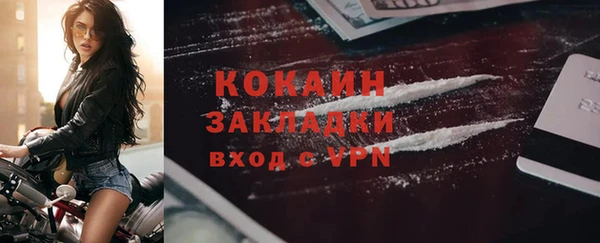 стаф Коряжма