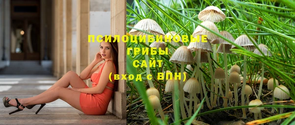 кристаллы Краснослободск