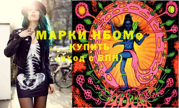 стаф Коряжма